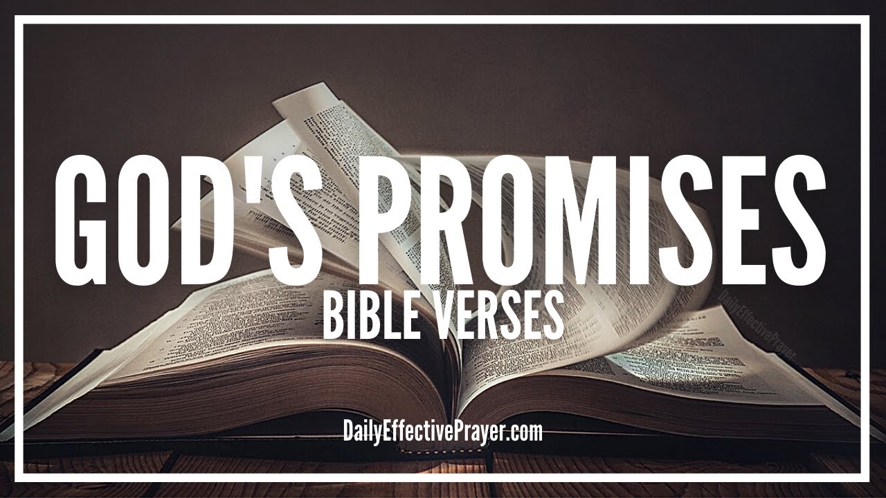 Bible Verses About Promises