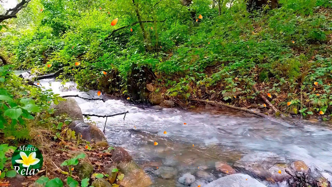 8 Hours Relaxing Nature Sounds River And Forest Sounds, Birdsong - YouTube