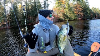 Crappie Fever!