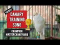 The best canary training song in the morning!! Champion Canary Master