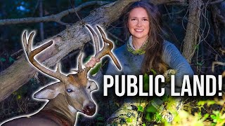 Self-Filmed, Early Season DROPTINE BUCK