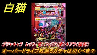 白猫　オーバードライブ紅蓮５ガチャは引くべき？ガチャキャラ　レクト（竜）フィリア（変）キアラ（鎖剣）　１０連結果　【白猫プロジェクト】