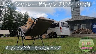 【わんことキャンプ】梅雨の高原避暑地でわんことキャンプ。温泉とスイーツ食べ放題もあって大満足♩【シャトレーゼキャンプリゾート小海】