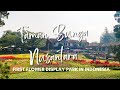 A Quick Stroll at Taman Bunga Nusantara | Eileen Leizel