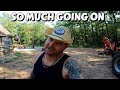 THINGS ARE MOVING FAST  | off grid | cabin build | tractor homesteading | log cabin  building | DIY