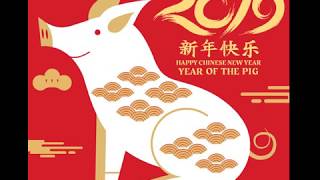 Year of the Pig 2019