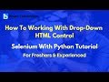 How To Working With Drop-Down HTML Control | Selenium With Python Tutorial For Beginners