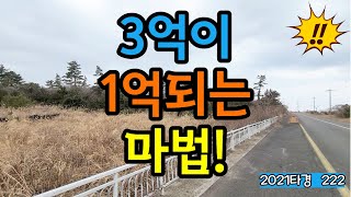 [제주도 부동산 경매] 감정가의 35% 1억600만원!! 현장임장~ ( 2021타경 222)