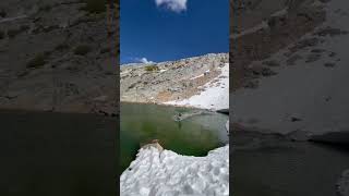 Next Level Pond Skimming