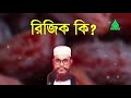 রিজিক কি দেলোয়ার হোসেন সাউদী delwar hussain saidi