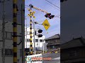 【踏切 電車】なにが通るかな？？？【ふみきりショート動画143】 shorts