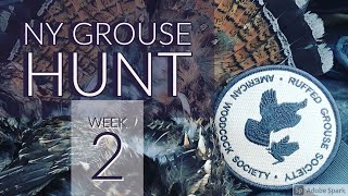 NY Week 2 Grouse and Woodcock Hunting    HD