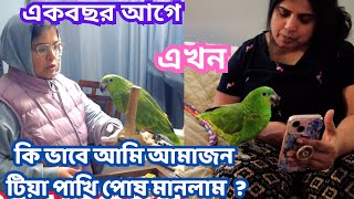 কি ভাবে আমি আমাজন টিয়া পাখি পোষ মানলাম ? কি ভাবে আমি ভয় জয় করলাম ? আমাদের রাইসোনা Amazon parrot