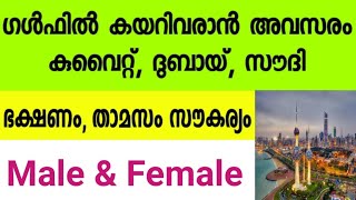 ഗൾഫ് കമ്പനിയിൽ ഉടൻ ആളെ വേണം||Gulfjobsmalayalam||Abroadjobstoday