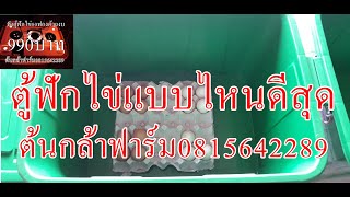 ชุดตู้ฟักไข่80ฟอง 990 บาท ตอน คุณรู้ไหมตู้ฟักแบบไหนดีที่สุด น้องต้นกล้าฟาร์ม