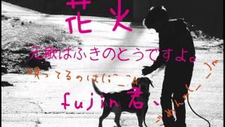 花火／元歌ふきのとうさん／fujin