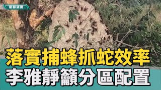 高市預算審議|落實捕蜂抓蛇 李雅靜籲農業局加強分區效率