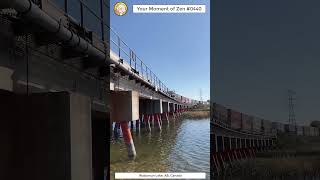 ScienceMan Moment of Zen 0440 #peaceful #lake #paddleboard #beautiful #nature #train #asmr