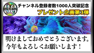 【海水魚水槽・サンゴ水槽】チャンネル登録者数1000人突破記念　プレゼント企画第3弾