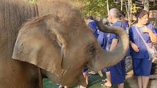 ภูพิงค์เช้ามาก็กินอิ่มท้องเลยนะครับ สร้างรอยยิ้มสร้างความสุขให้นักท่องเที่ยวครับ🥰🥰🥰