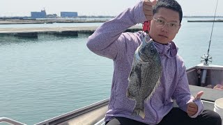 ［潟湖］一邊釣魚一邊看風景👍 結果釣到2斤的大黑鯛 俗稱（黑牛）真的牛呀！