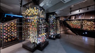 Museum of Glass and Jewellery in Jablonec and Nisou, EMYA 2024 Nominee