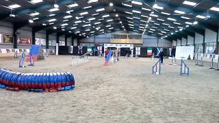 OJAC 2014 Field of Dreams B Agility