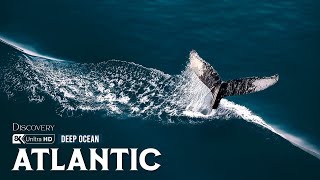 Atlantic Uncharted | The Hidden Truths Behind Earth’s Most Mysterious Ocean