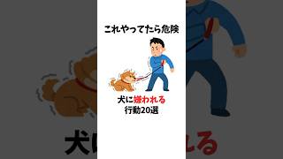 犬に嫌われる行動20選　#犬 #ペット #雑学