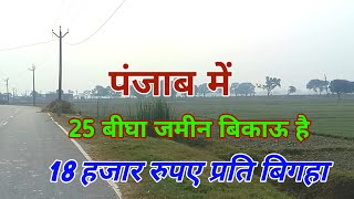 पंजाब में 25 बीघा जमीन बिकाऊ है Punjab Pathankot jila mein sasti jameen bikau hai बिकाऊ जमीन पंजाब