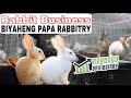 RABBIT BUSINESS (BIYAHENG PAPA RABBITRY) | Negosyo Philippines