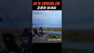 한겨울에 떼월척인 웬말입니까// 이건 초대박 천운이야 #fishing