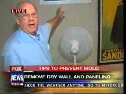 Tips to Prevent Mold Tips to Prevent Mold