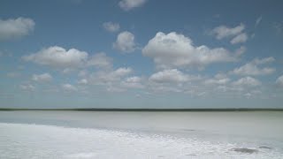 South Texas oasis made up of salt sparkles among wildlife