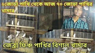 finch bird farm|ফিঞ্চ পাখি পালন পদ্ধতি ও আয় ব্যায়ের হিসাব|bigest zebra finch bird farm|Sobdo pets