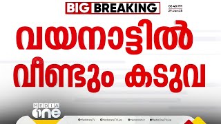 വയനാട് കമ്പമലയിൽ കടുവയിറങ്ങിയെന്ന് സംശയം; വനംവകുപ്പിനെ അറിയിച്ചത് തോട്ടം തൊഴിലാളികൾ