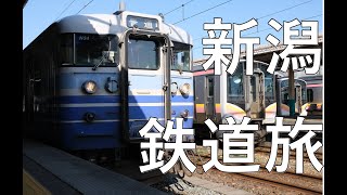 春の新潟 日帰り鉄道旅行 【Max E4系/ガーラ湯沢/115系/蒲原鉄道/イタリアンみかづき/弥彦神社/E127系】