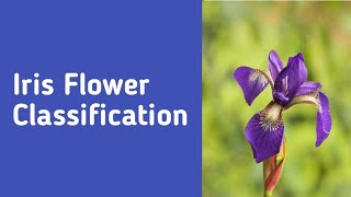 Iris Flower Classification #codsoft #internship