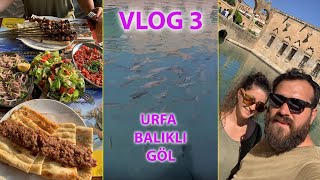 Urfa/Adıyaman Atatürk Barajı-Urfa’ya varış ve Balıklı Göl ziyaretimiz