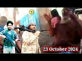 23 Oct 2024 ROHINGYA BREAKING #Doa ARSA VS AA  | KINGDOM OF ARKAN TV #ရိုဟင်ဂျာနေ့စဉ်သတင်း