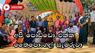 අපි තෛපොංගල් සැමරුවේ මෙහෙමයි ❤️🪔 | Thaipongal #apipercy #pongal #2025