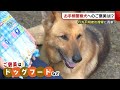 “お手柄”警察犬を表彰　捜索開始からわずか８分…　行方不明者を発見！【新潟】 21 06 22 18 57