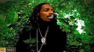 Snoop Dogg, Timbaland: What's My Name Pt 2 (EXPLICIT) [UP.S 4K] (2000)