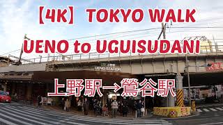 Ueno Station to Uguisudani Station | Walking Along Yamanote Line | Tokyo 4K