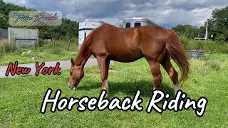 New York's BEST Horseback Trails Revealed by Expert Rider