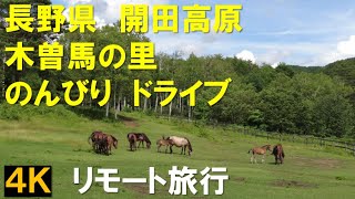 【４Ｋ】長野県　開田高原　木曽馬の里　のんびりドライブ