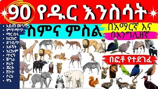 የዱር እንስሳት ስም እና ምስል  - Names of wild animals in Amharic and English