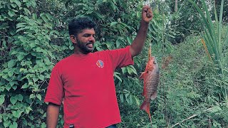 | നാടൻ ചെമ്പല്ലിയെ പിടിച്ചാലോ 🎣|എന്നാലും എൻ്റെ പൊട്ടാ നീ ഇതെങ്ങനെ😁 |Funny fishing shorts |👀😁