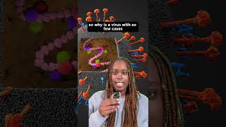 🦠The next pandemic? All you need to know about the Nipah virus #shorts #nipah #nipahvirus #pandemic