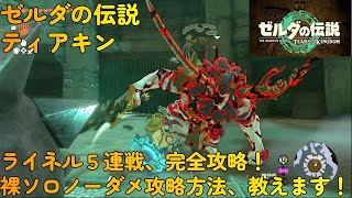 ゼルダの伝説_ティアキン：ライネル５連戦、ソロ裸ノーダメ方法教えます！